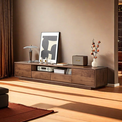 TV Stand with Open Storage