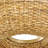 Hinkley Sanibel Large Chandelier