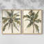 «Antique Watercolor Palm Study I», reproduction encadrée de qualité supérieure - prête à être accrochée - aucun clou requis - aucun clou requis-644194975-644194980