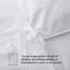 Insert de couette en duvet d'oie toutes saisons en duvet d'oie blanche, très grand-238442065
