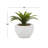 9.75'' Faux Agave Plant in Ceramic Vase