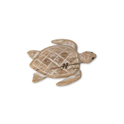 Tortue de fond sculptée