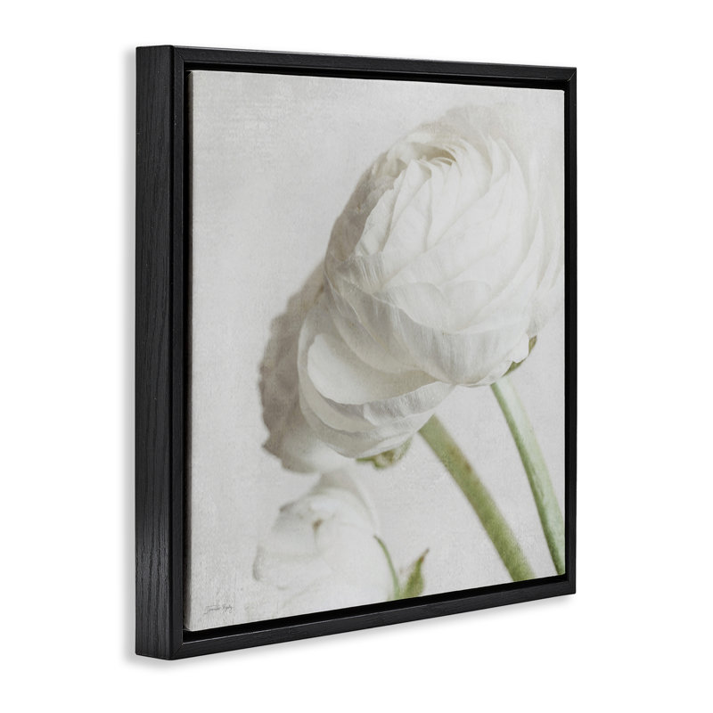 Charmante pivoine blanche encadrée par Jennifer Rigsby, Cadre flottant noir de jais, H 18 po x l 18 po