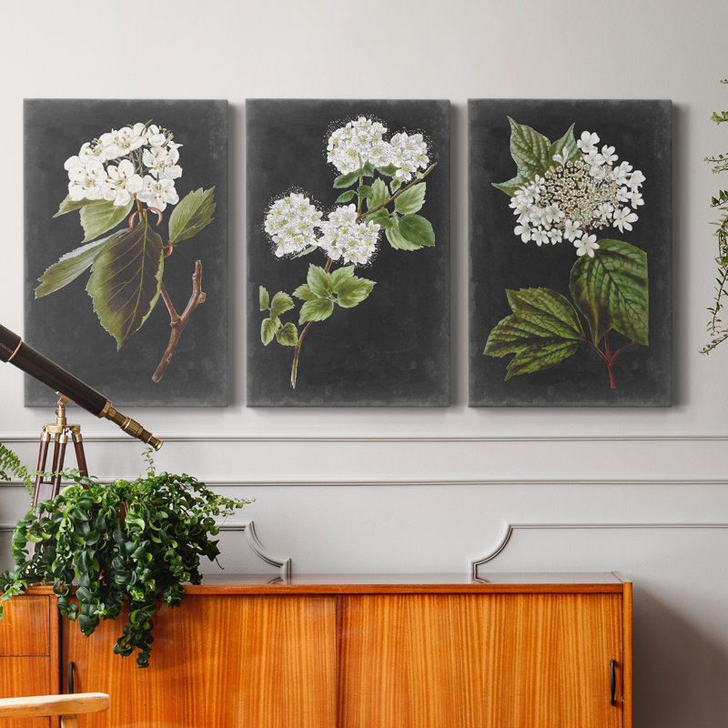Dramatic White Flowers I Canvas Painting Print, 18" H x 36" W x 1.5" D