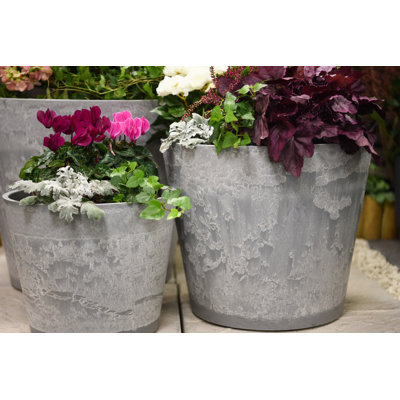 Ceasar Plant Pot - Twin Pack