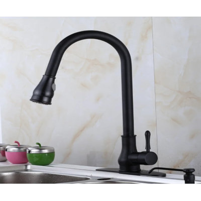 Robinet de cuisine à poignée simple avec accessoires