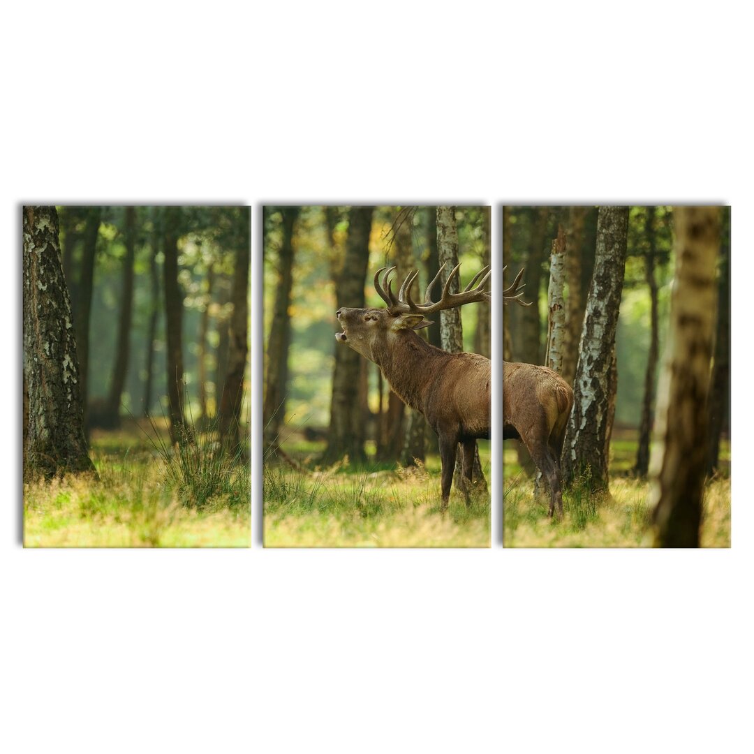 3-tlg. Leinwandbilder-Set Stag in the Forest