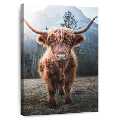 Brampt Dolomites Highland Cow