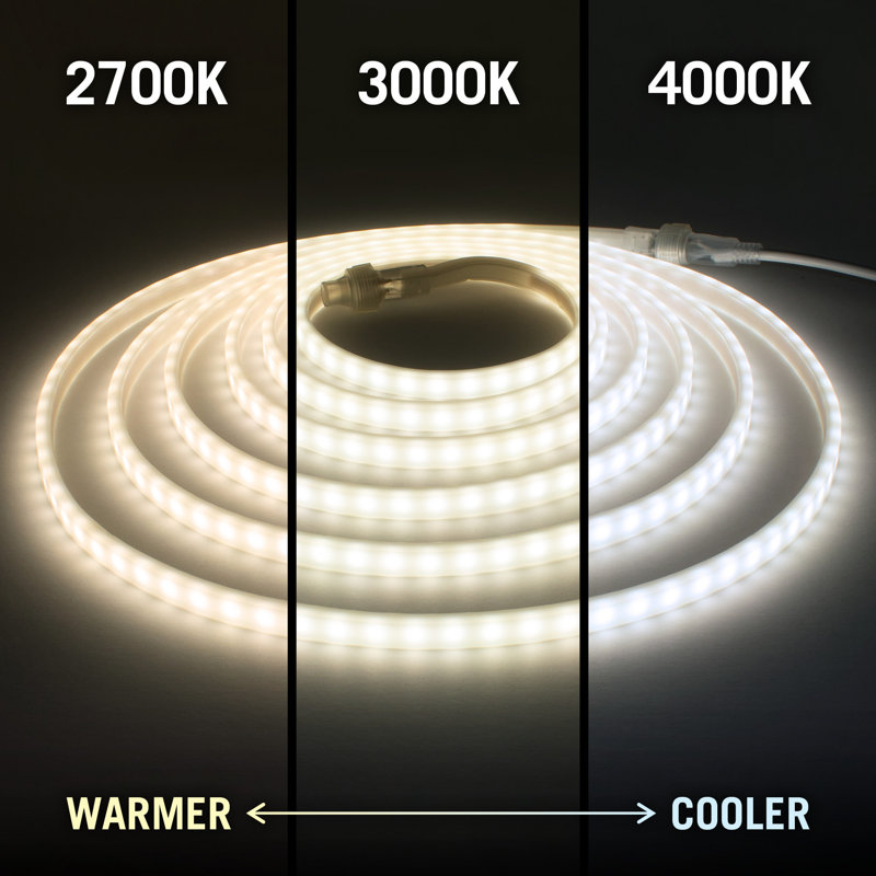 Outdoor 300 - Bulb 198'' Plug-In LED Rope String Light