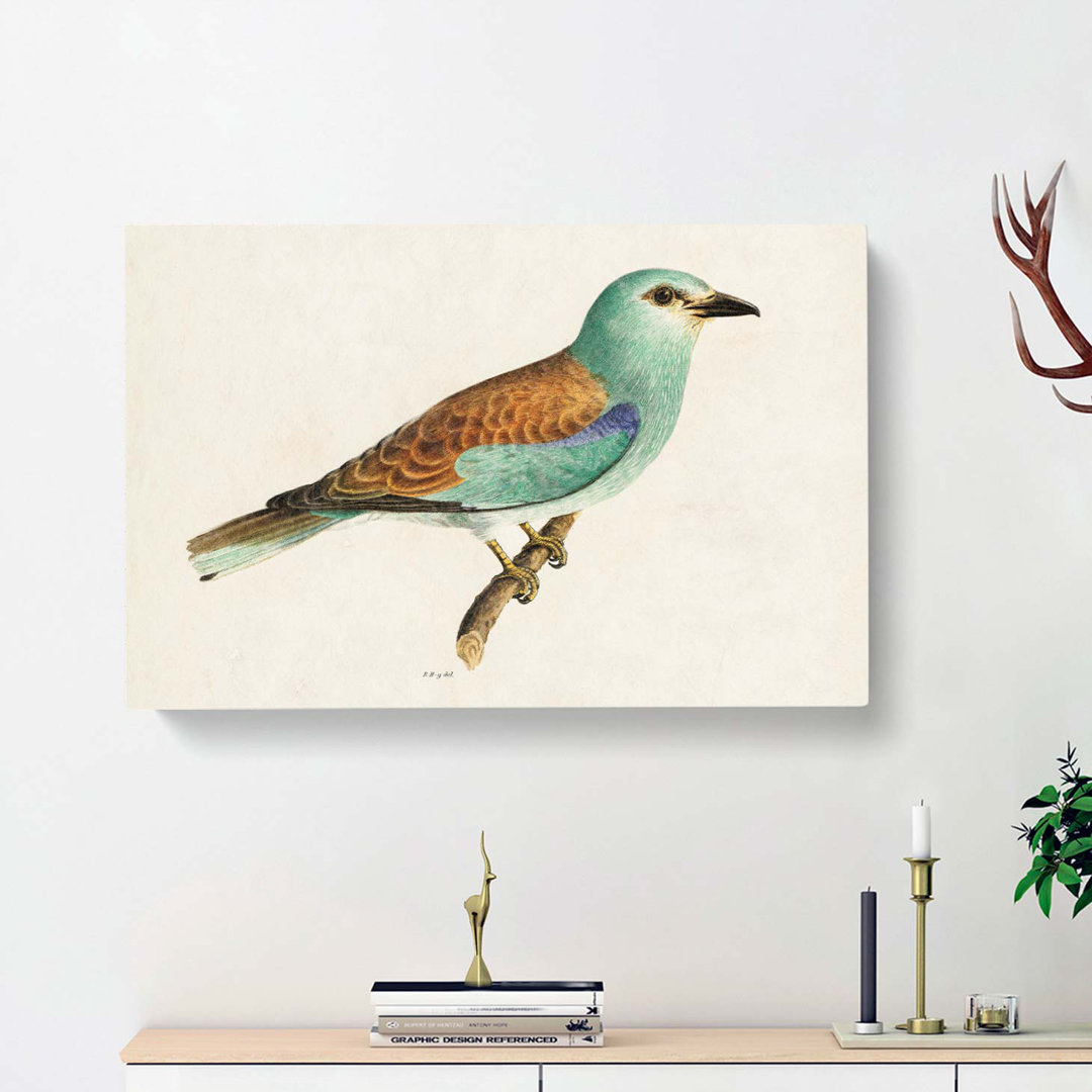 European Roller Bird by Von Wright - Wrapped Canvas Painting Print