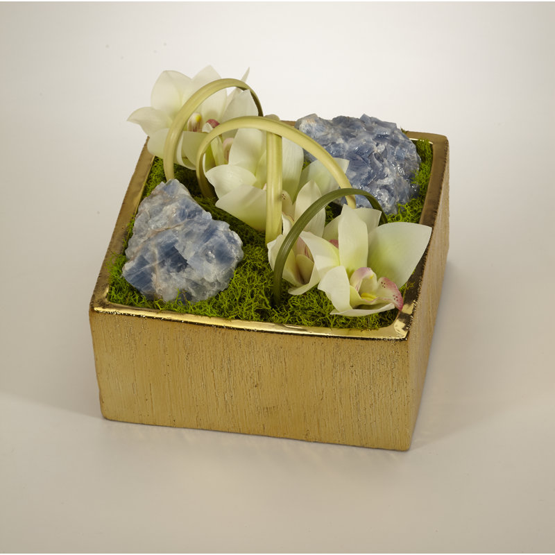 Orchid Arrangement in Planter