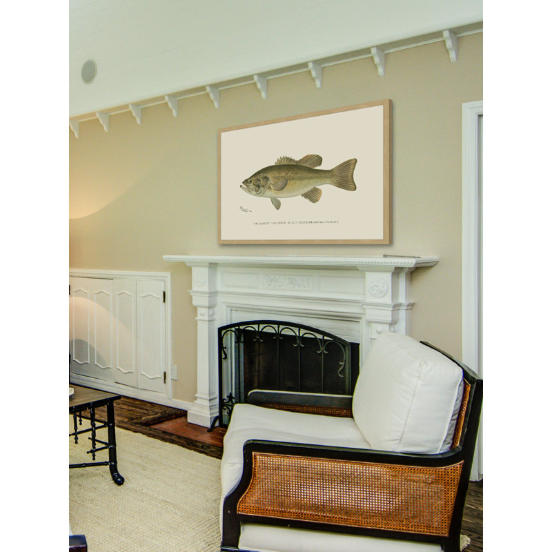 «Large Black Bass», reproduction encadrée, H 16 po x l 24 po x P 1,5 po