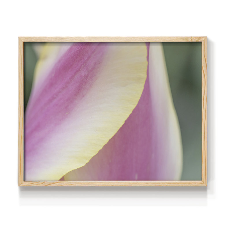 Delicate -Framed Print - Restickable, Naturel, H 11 po x l 14 po