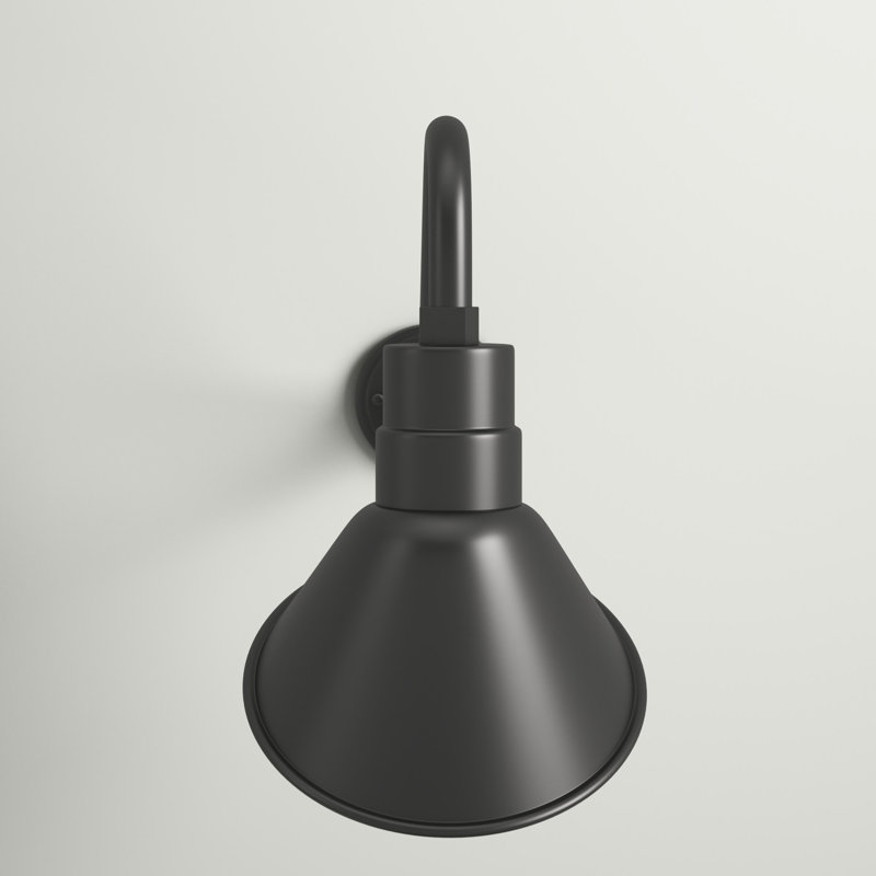 Luminaire de grange à intensité variable 1 lumière RLM Molley, Noir satiné, H 17 po x l 10 po x p 19,5 po