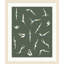 Diver Chart 1 Print