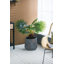 Pot à fleurs en ciment-69174205