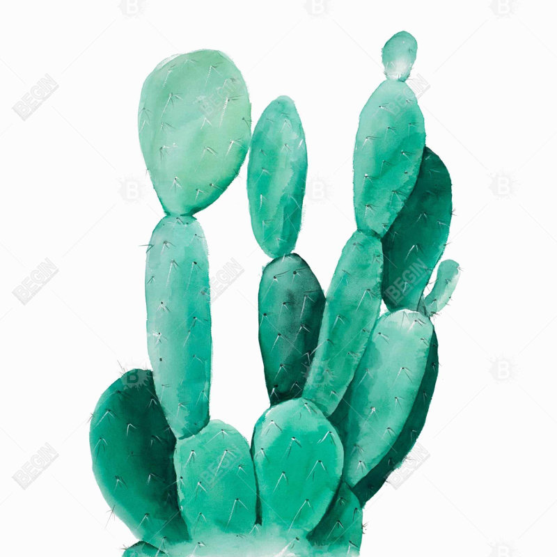 Watercolor paddle cactus - 26"x26" Throw pillow cover - Poly twill - Print on demand, 26" x 26"