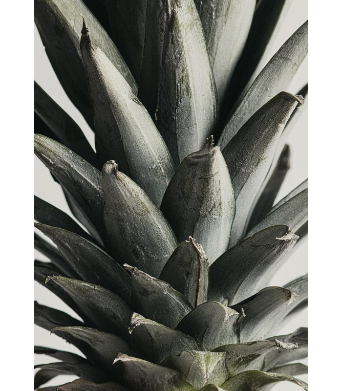 Wrapped Canvas Print, 76.2 cm H x 50.8 cm W