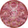 Folmar Oriental Indoor Rug