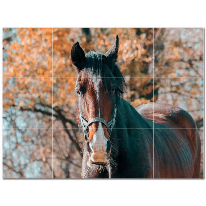 Murale en céramique satinée Horse Photo 6 po x 6 po