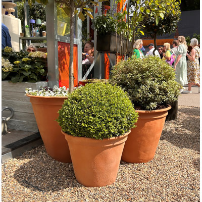 Handmade Pot Planter