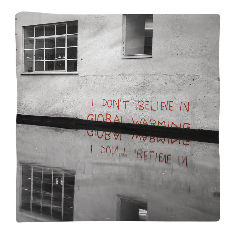 «Don't Believe in Global Warming Reflection», 22 po x 22 po, Croisé en coton