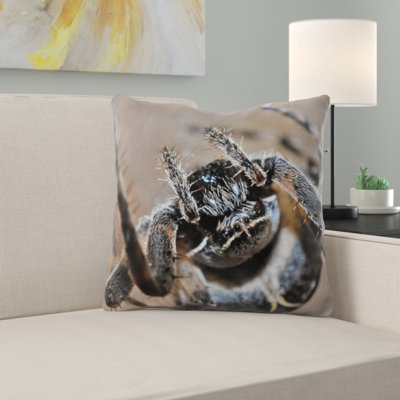 Coussin de spider