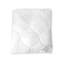 Arcadia Microfiber All Season Down Alternative Comforter-1699510703-1699510696