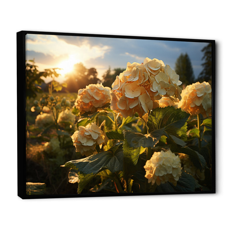 Yellow Hydrangea Field, H 16 po x l 32 po x P 1 po, Cadre flottant noir