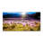 Crocuses In The Clearing - Wrapped Canvas Print