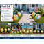 Ensemble de deux panneaux de jardin ronds en PVC de 30 cm (12 pouces) représentant des ballons de plage.