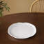 Vida Melamine Dinner Plate
