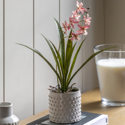Orchid in White Ceramic Dot Pot 400mm