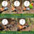 Aluminum Garden Tool Set 10 Pcs