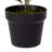24" Artificial Variegated Triangle Ficus Potted