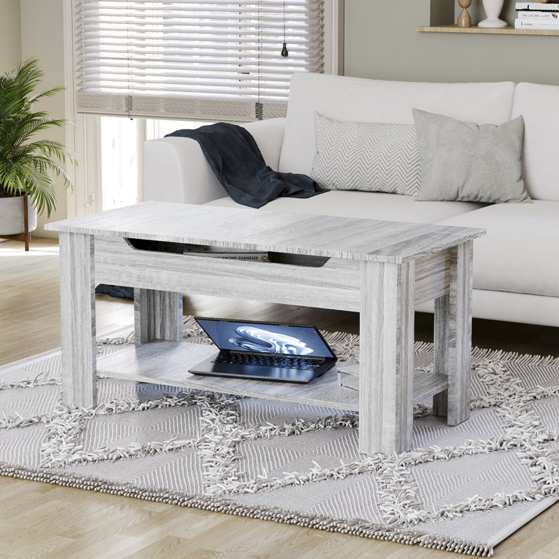 Anavictoria Lift Top Four Leg Coffee Table with Storage, Grey Wood, Grey Wood