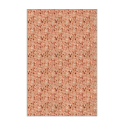 Indoor Rug