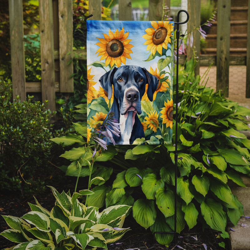 Lévrier irlandais dans le drapeau du jardin de tournesols, Grand danois noir