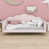 Pink est en rupture de stock