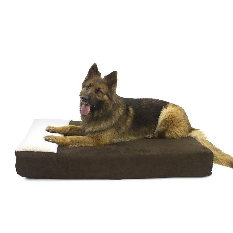 Tapis de salon pour animaux, Grand (l 50 po x P 34 po x H 6,75 po), Chocolat