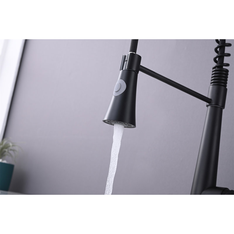 Matte Black Stainless Steel Kitchen Faucet with Pull Down Sprayer