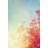 Colorful Foliage In The Autumn Park by Igor_Aleks - Wrapped Canvas Print-818501304