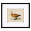 «Duck Series» par Paul Cezanne - ensemble de 4 impressions sur papier encadré