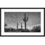 Three Cacti Print by Christopher Kennedy