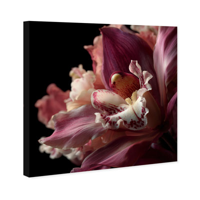 Velvet Labellum Print by Oliver Gal