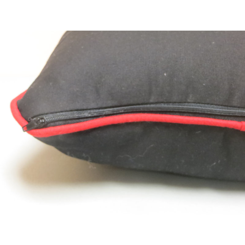Coussin décoratif 