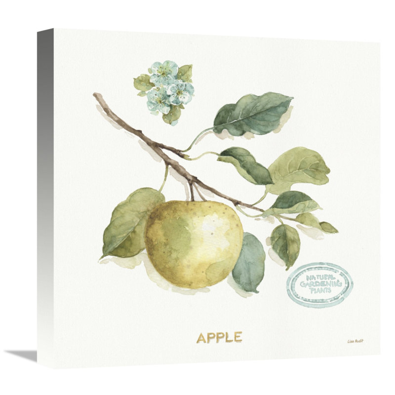 « my serre fruit iv », reproduction d’impression sur toile tendue, H 48 po x l 48 po x P 1,5 po, Toile tendue, Sans mat