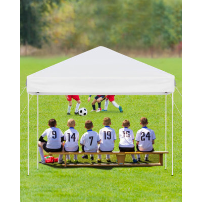 Heavy Duty Pop-Up Canopy Tent, Steel Frame with Polyester Canopy, 10x10 ft, 3 Adjustable Heights, Outdoor Event and Patio Shelter, Includes Carry Bag, Weight Bags, Stakes, and Guy Ropes