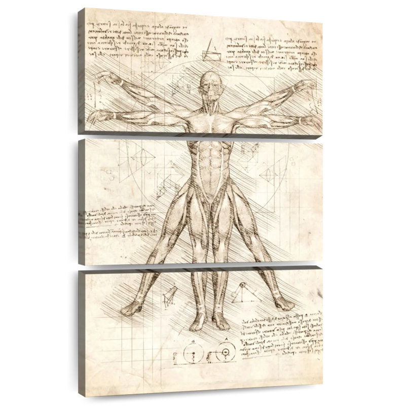 Vitruvian Man