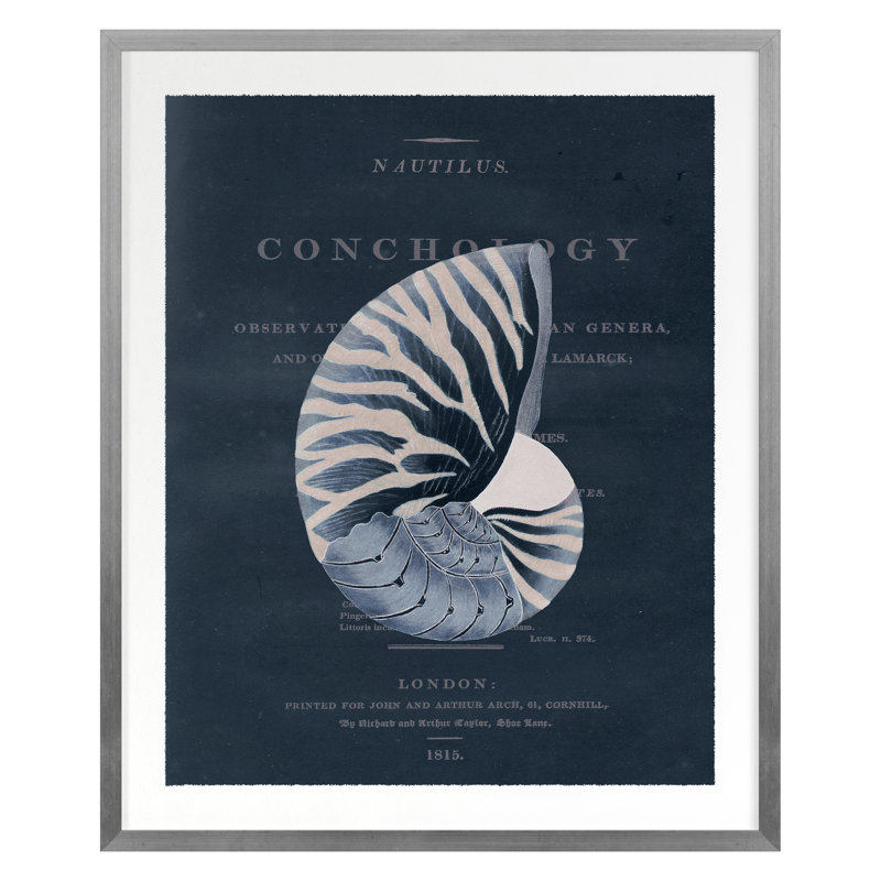 Conchology Nautilus par Porter Design - impression d'un seul cadre